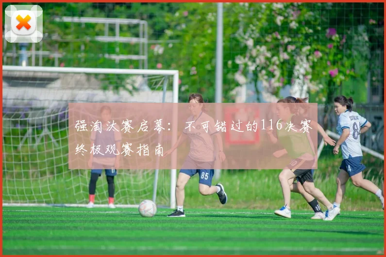 强淘汰赛启幕：不可错过的116决赛终极观赛指南
