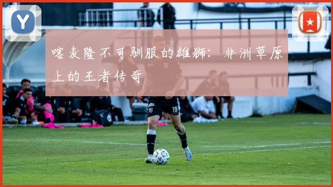 喀麦隆不可驯服的雄狮:非洲草原上的王者传奇