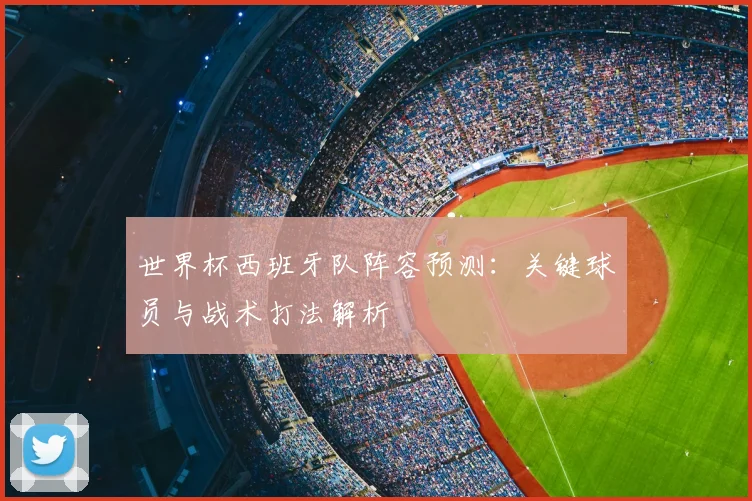 世界杯西班牙队阵容预测：关键球员与战术打法解析