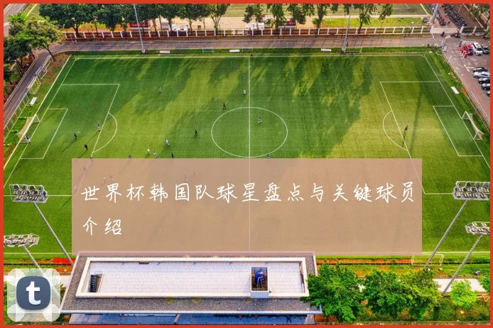 世界杯韩国队球星盘点与关键球员介绍